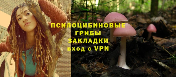 ешки Армянск